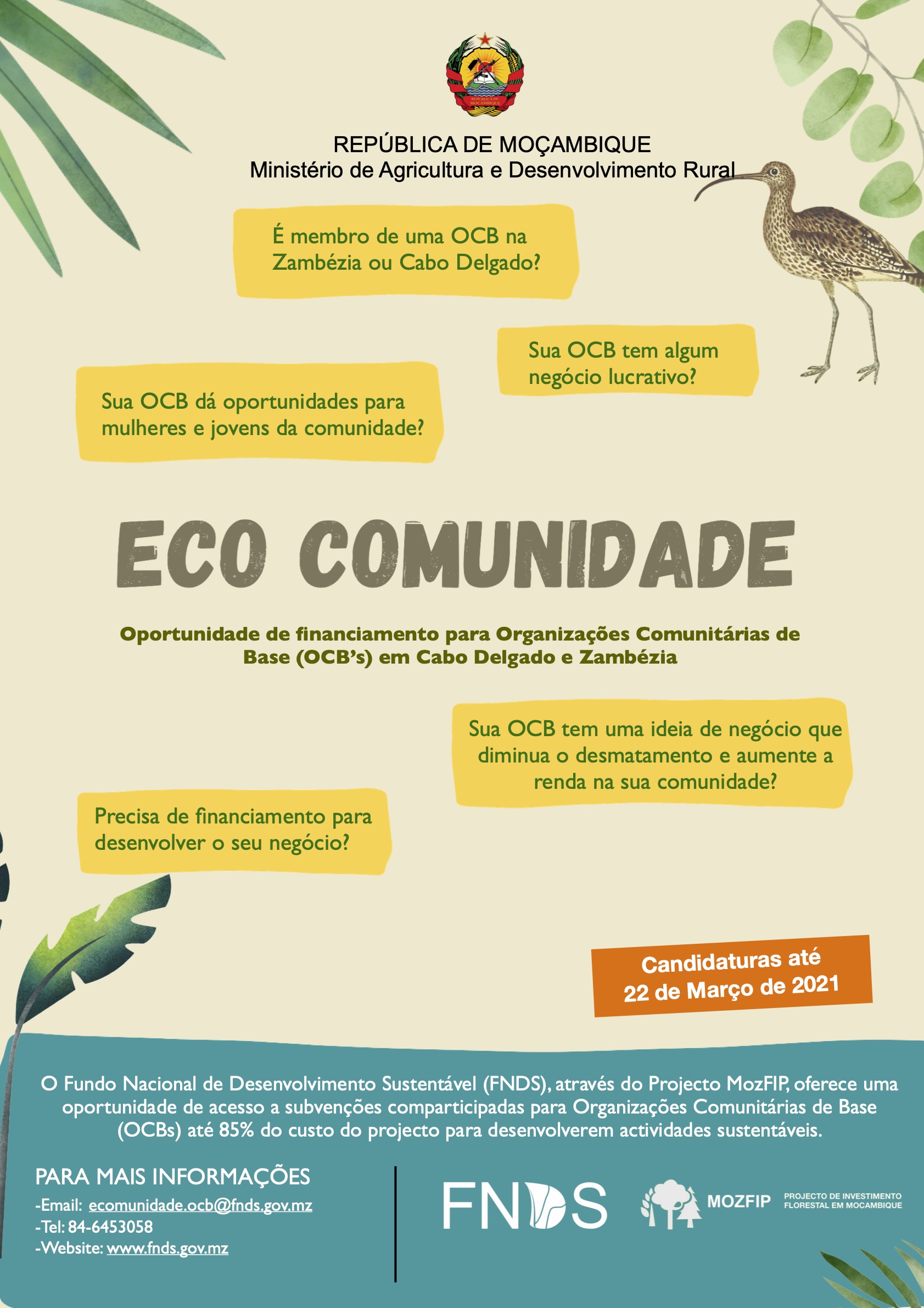 Anuncio1 copy