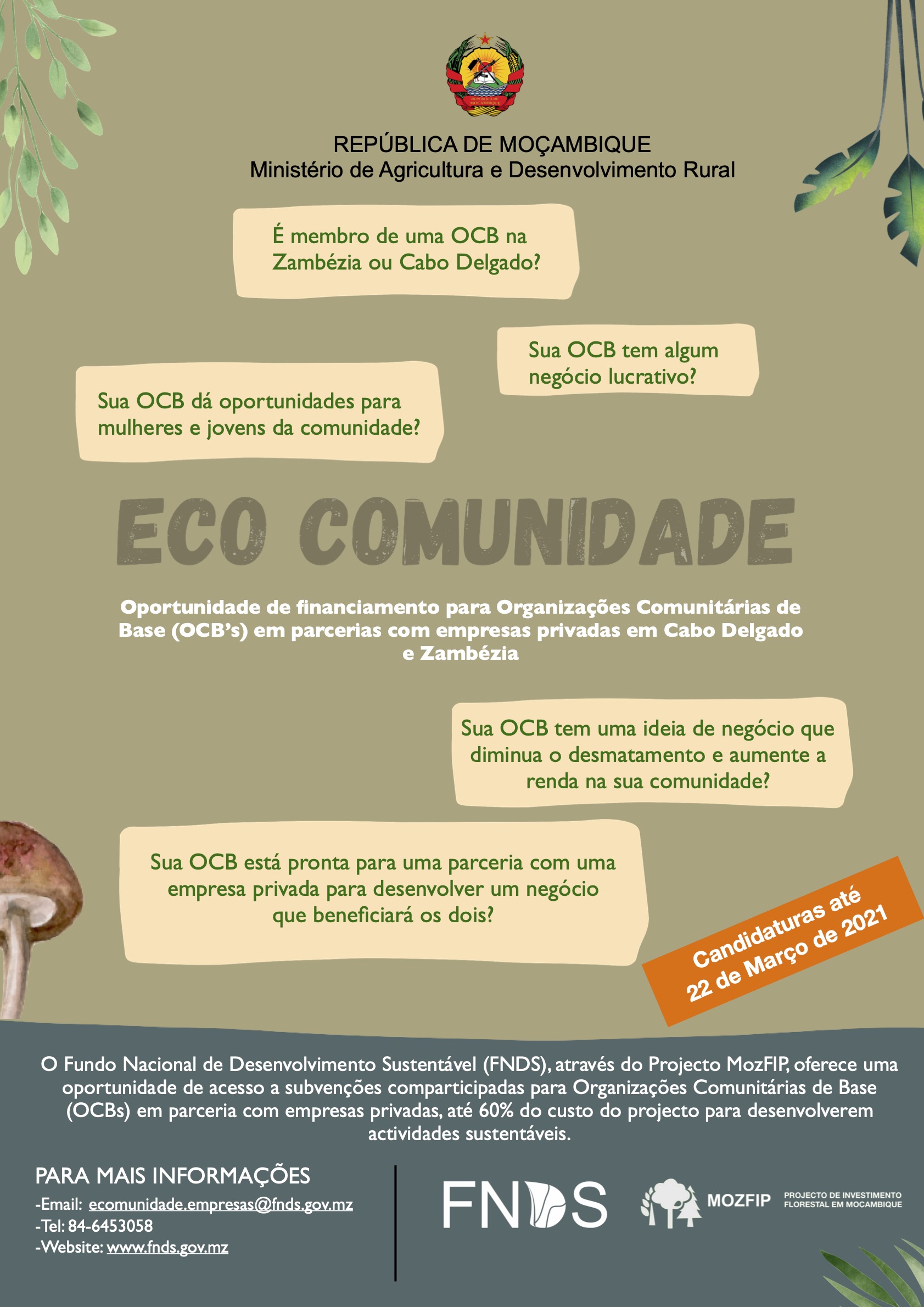 Anuncio2