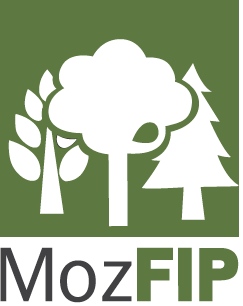 Logo MozFIP