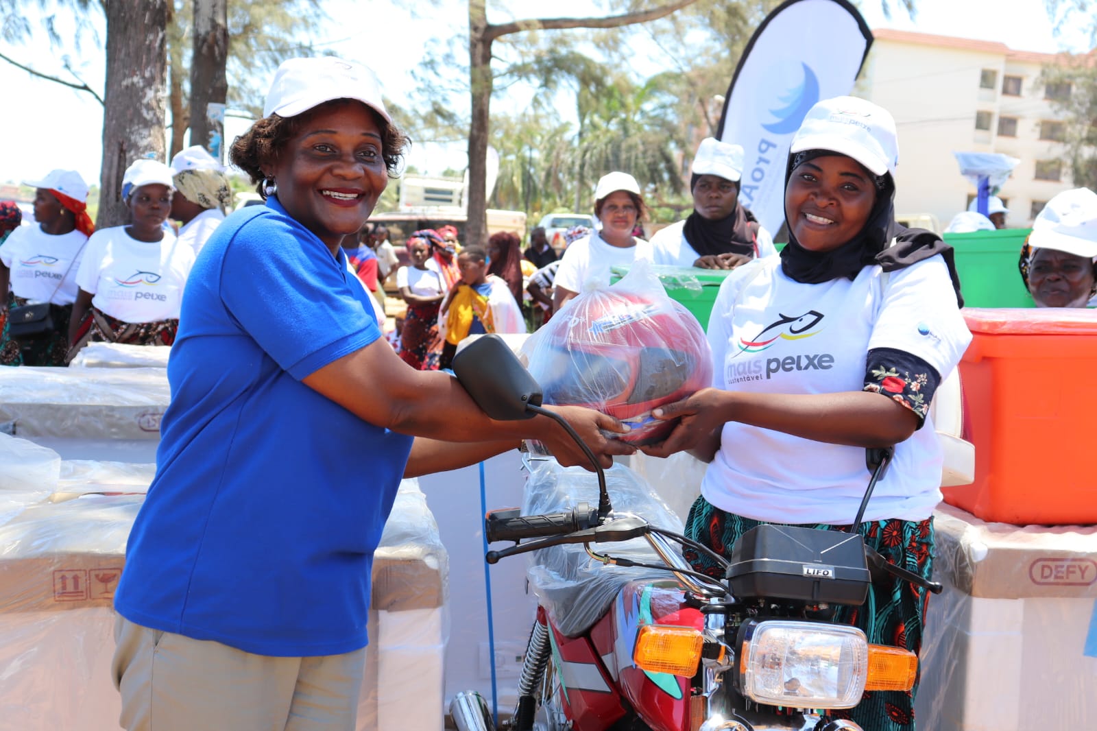 WhatsApp Image 2025 06 26 at 12.11.49 1 1