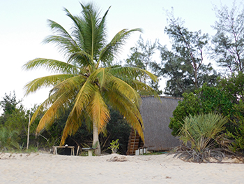 banco mundial aprova mozbio 2 1