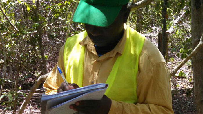 Euipe de Supervisao e Controle de Qualidade