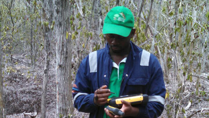 Introducao de Dados no Yuma