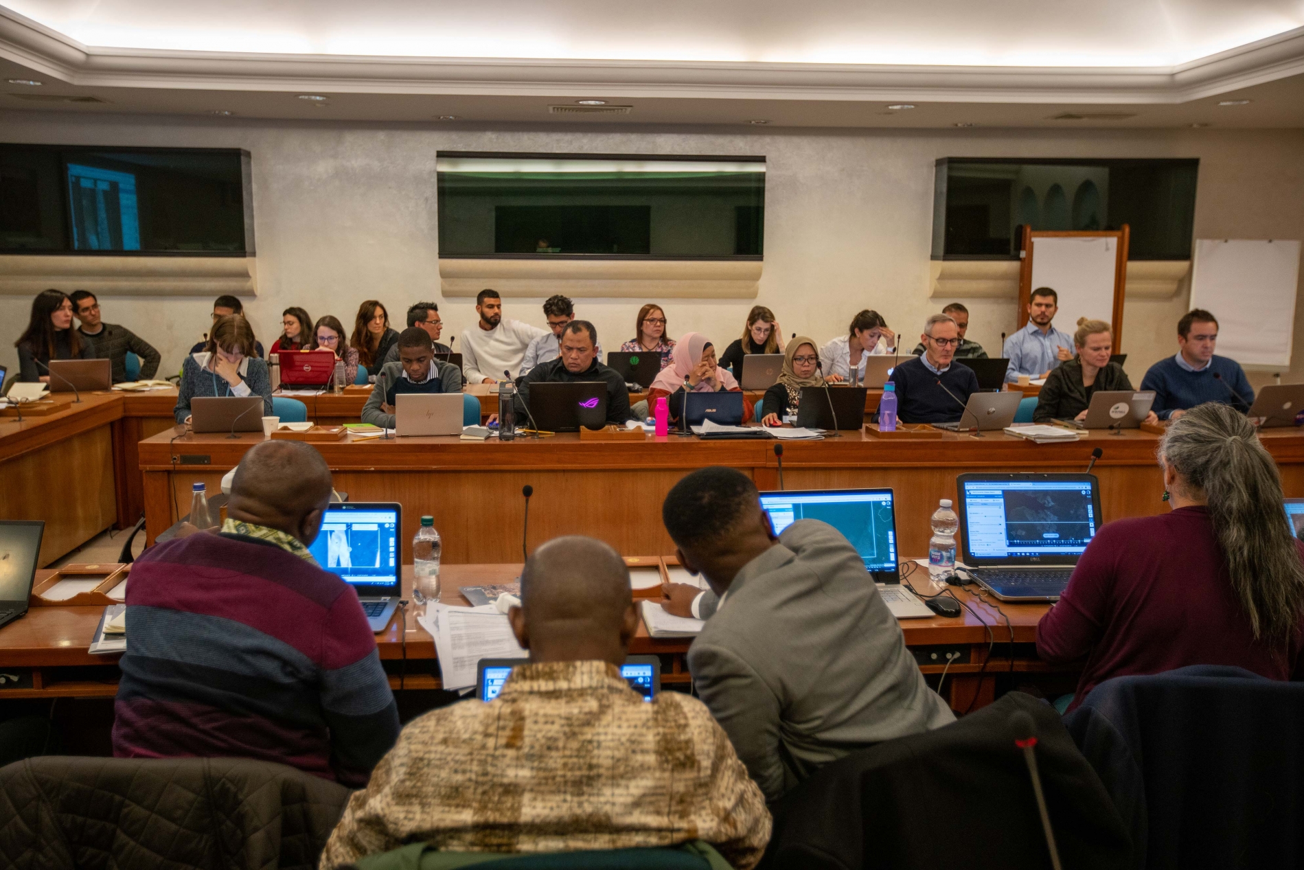 workshop-on-area-estimation-using-high-resolution-satellite-imagery_49468865622_o