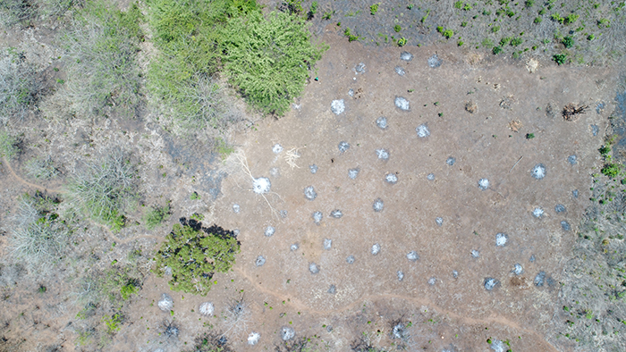 Focos de Desmatamento