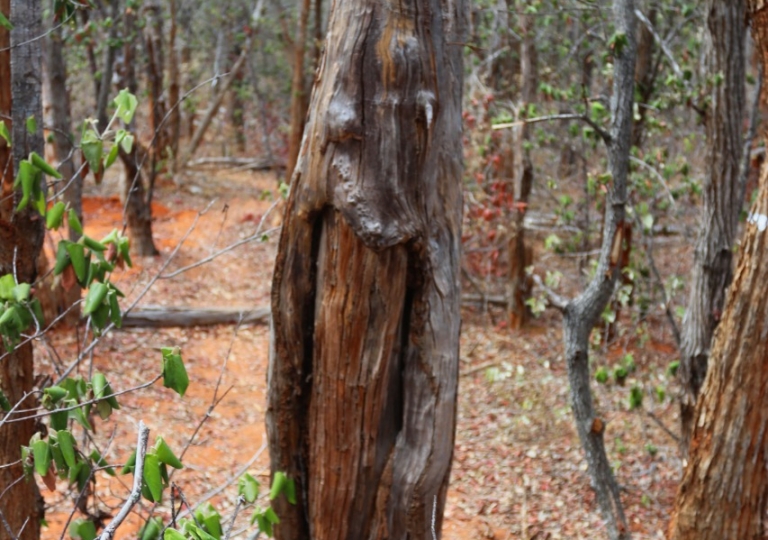 WhatsApp Image 2021-10-30 at 15.02.10 (1)